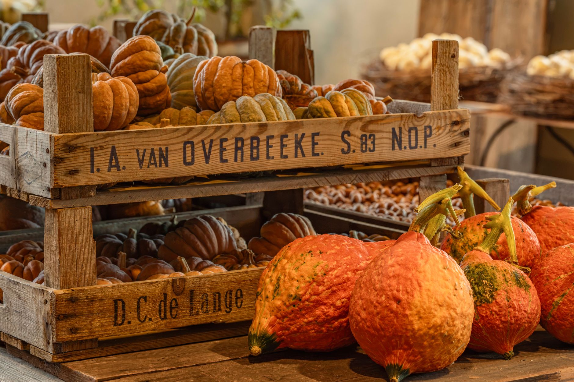 Alimentos de temporada en otoño